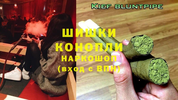 индика Абдулино