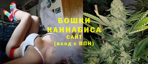 индика Абдулино