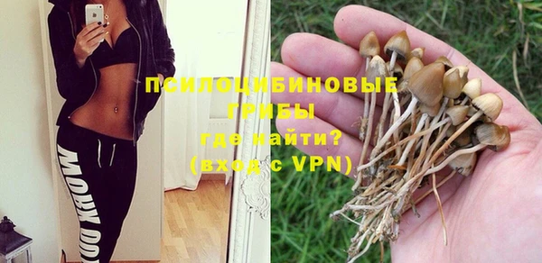 индика Абдулино