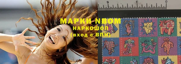 индика Абинск