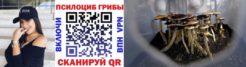 Галлюциногенные грибы Cubensis Зеленокумск