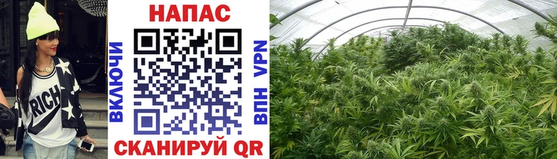 как найти закладки  Зеленокумск  Бошки марихуана Ganja 